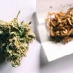 Gesundheit: Cannabis und Jugendliche: Experten fordern mehr Aufklärung