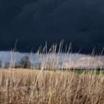 Wetter: Sturmböen und Gewitter: Bahnverkehr eingeschränkt