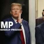 Schweigegeld-Verfahren: Trumps Verteidiger versuchen, Stormy Daniels in Widersprüche zu verwickeln
